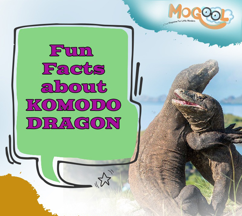 fun facts about komodo dragons